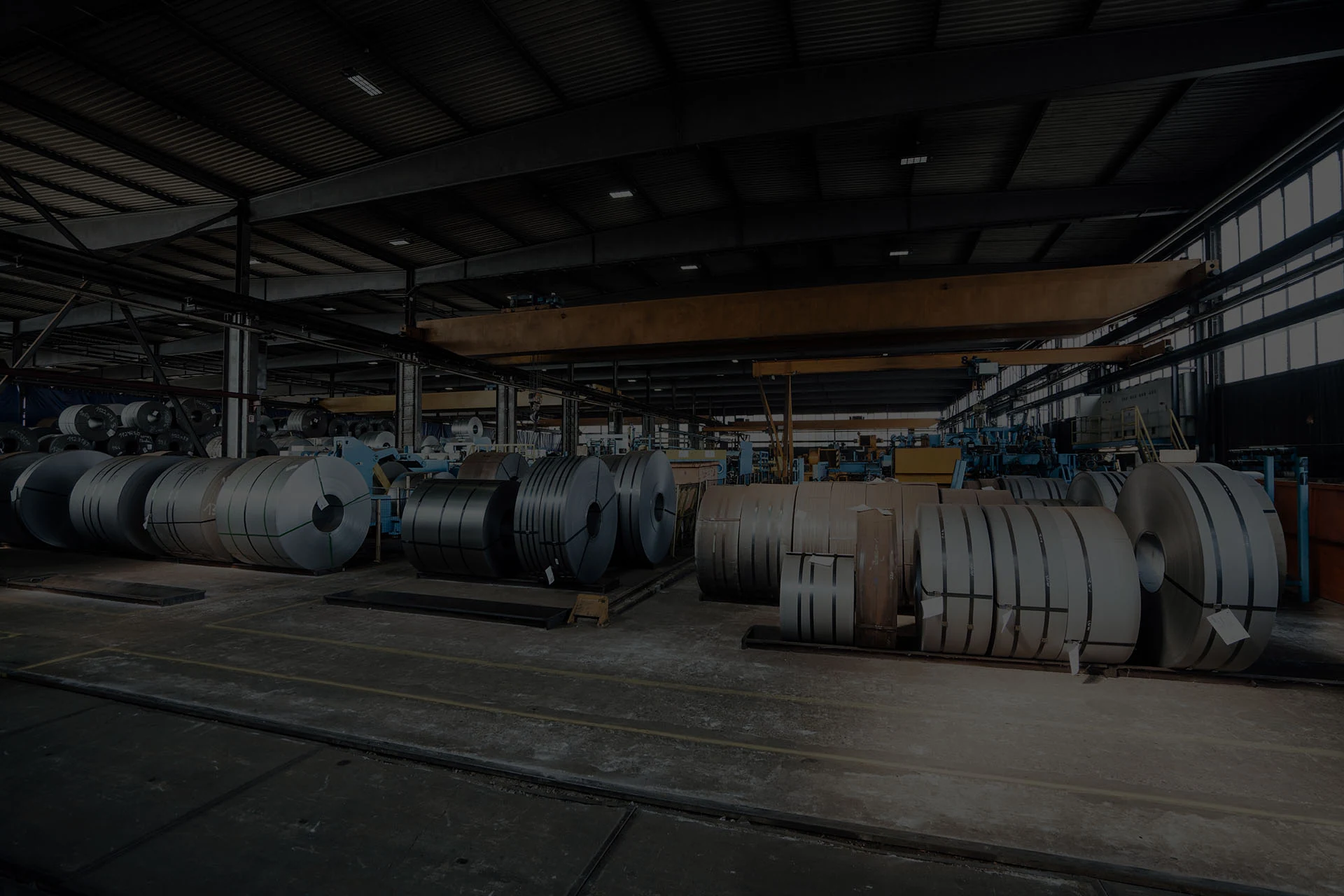 Roelyn Steel factory and steel coils